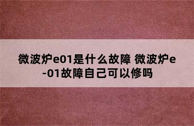 微波炉e01是什么故障 微波炉e-01故障自己可以修吗